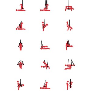 HIDDEN DESIRE - EXTREME ANCHOR LOVERS BALANÇOIRE SEXUELLE