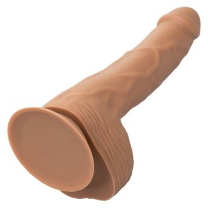 CALEXOTICS - CLOUS EN SILICONE 20.32 CM MARRON – Godes sans vibration