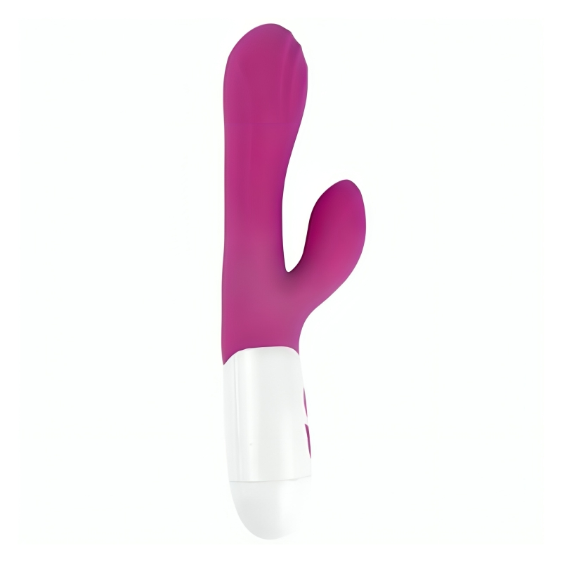 ARMONY - HAPPY VIBRATEUR and STIMULATEUR VIOLETTE