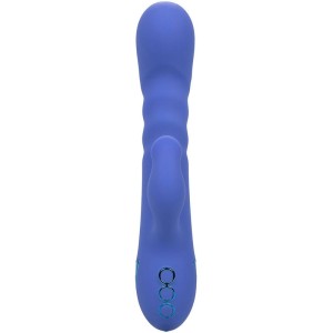CALEXOTICS - LA LOVE VIBRATEUR and SUCCION BLEU PAR CALIFORNIA DREAMING