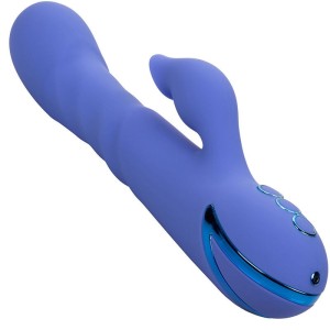 CALEXOTICS - LA LOVE VIBRATEUR and SUCCION BLEU PAR CALIFORNIA DREAMING