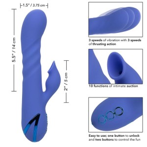 CALEXOTICS - LA LOVE VIBRATEUR and SUCCION BLEU PAR CALIFORNIA DREAMING