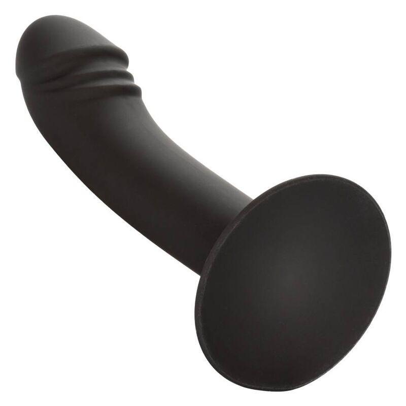 CALEXOTICS - STUD ANAL COURB