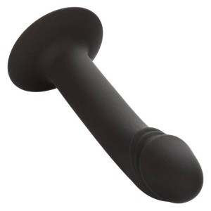 CALEXOTICS - STUD ANAL COURB