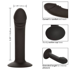 CALEXOTICS - STUD ANAL COURB