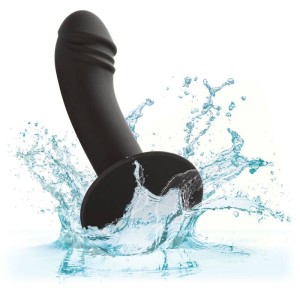 CALEXOTICS - STUD ANAL COURB