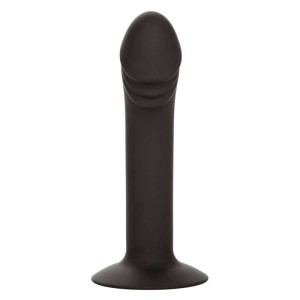 CALEXOTICS - STUD ANAL COURB