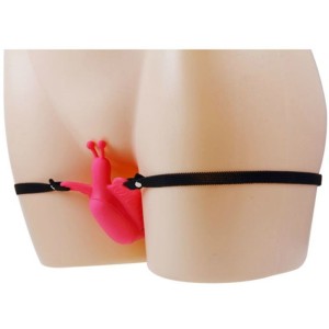 BAILE - HARNAIS PAPILLON VIBRANT ULTRA PASSIONN