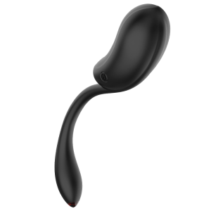 COQUETTE CHIC DESIRE - OEUF VIBRANT TÉLÉCOMMANDE RECHARGEABLE NOIR-OR