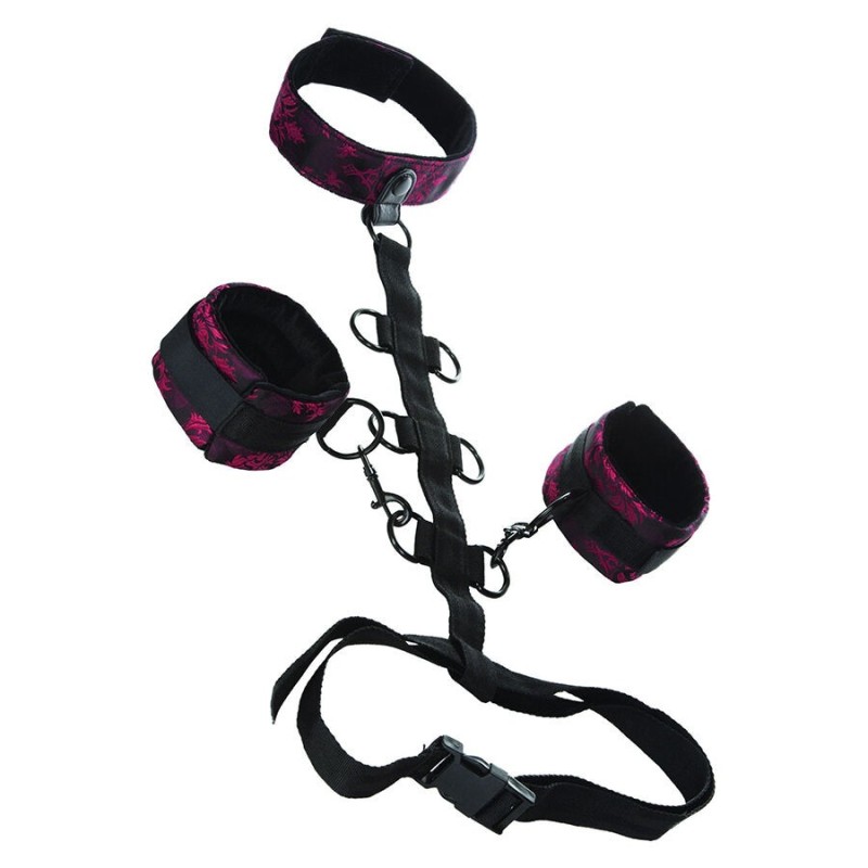 CALEXOTICS - SCANDAL SUPPORT COMPORAL AVEC COU
