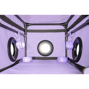 SECRET DOME - KINK CLUB LA NICHE CABINE VIOLET