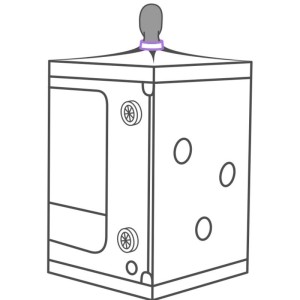 SECRET DOME - KINK CLUB CABINE SCANDALE PURPLE