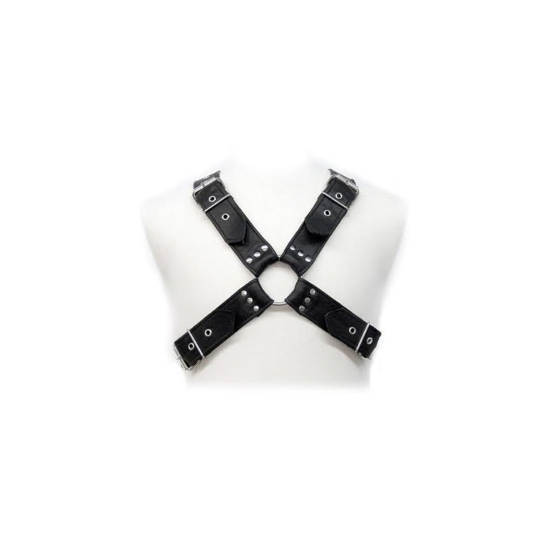 HARNAIS EN CUIR - BOUCLES