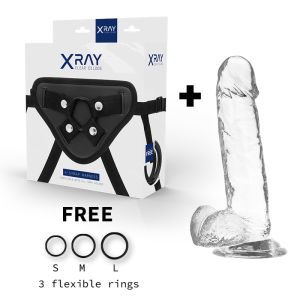 X RAY - HARNAIS BITE TRANSPARENT AVEC BILLES 20 CM -O- 4.5 CM
