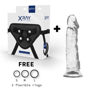 X RAY - HARNAIS BITE TRANSPARENT 19 CM -O- 4 CM