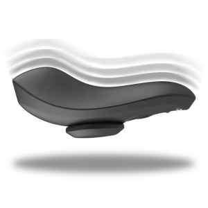 BLACKandSILVER - CULOTTE VIBRANTE RECHARGEABLE EN SILICONE PRESTON NOIRE