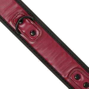 FETISH SUBMISSIVE DARK ROOM - COLLIER CHAÎNE DOUBLURE EN NÉOPRÈNE