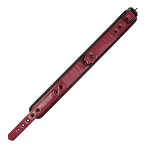 FETISH SUBMISSIVE DARK ROOM - COLLIER CHAÎNE DOUBLURE EN NÉOPRÈNE