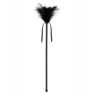 SECRETPLAY - PLUMES NOIRES 40 CM