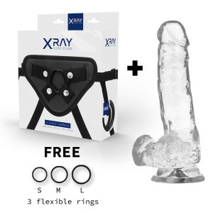 X RAY - HARNAIS BITE TRANSPARENT AVEC BILLES 18.5 CM -O- 3.8 CM