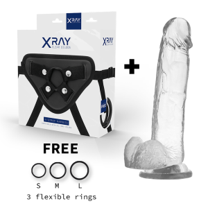 X RAY - HARNAIS BITE AVEC BOULES 22 CM -O- 4.6 CM