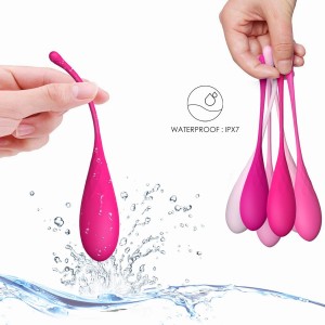LESLIE - KEGEL FIT ENSEMBLE DENTRAÎNEMENT MUSCULAIRE PELVIEN 6 PCS