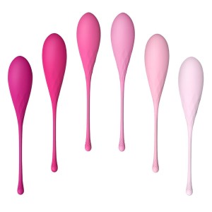 LESLIE - KEGEL FIT ENSEMBLE DENTRAÎNEMENT MUSCULAIRE PELVIEN 6 PCS