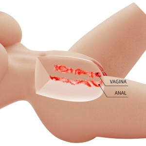 CRAZY BULL - TORSE FÉMININ RÉALISTE LILY VAGIN ET ANAL 4 KG