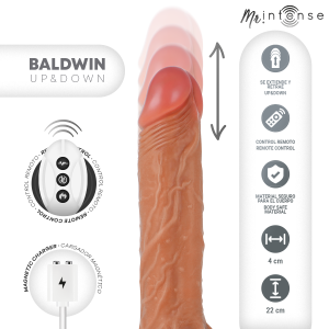 MR INTENSE - BALDWIN RÉALISTE MULTIFONCTIONNEL AVEC VIBRATION, TÉLÉCOMMANDE HAUT-BAS, 22 CM - OU - 4 CM