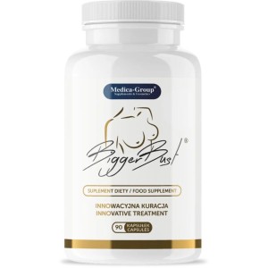 MEDICA GROUP - BIGGER BUST FERMETÉ 90 CAPSULES
